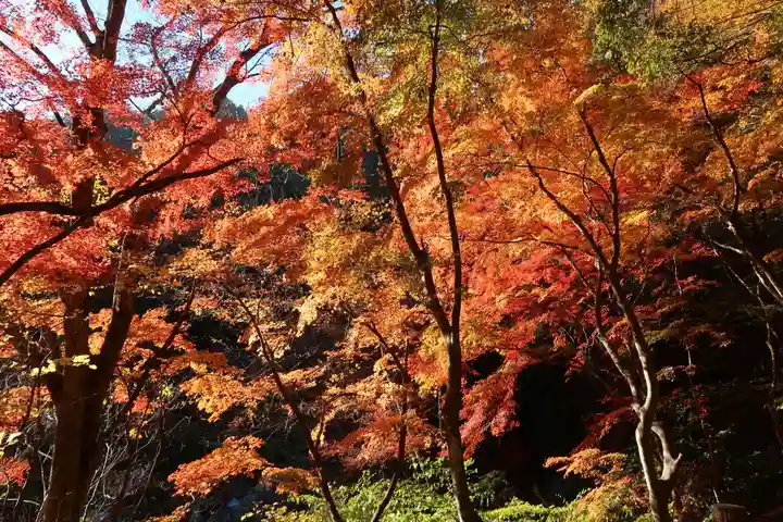 八雲神社(山梨県)