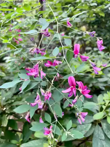 妙雲寺(東京都)