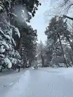 北海道神宮の{uncategorized: "未分類", other: "その他", undefined: "問題あり", building: "その他建物", grave: "お墓", sacred_gate: "鳥居", guardian: "狛犬", statue: "像", buddha: "仏像", history: "歴史", nature: "自然", garden: "庭園", animal: "動物", pagoda: "塔", temizu: "手水舎", mountain_gate: "山門・神門", sanctuary: "本殿・本堂", subordinate: "末社・摂社", art: "芸術", scenery: "景色", jizo: "地蔵", ema: "絵馬", goshuin: "御朱印", omikuji: "おみくじ", items: "授与品その他", amulet: "お守り", goshuincho: "御朱印帳", eats: "食事", festival: "お祭り", votive_dance: "神楽", shichigosan: "七五三参", wedding: "結婚式", experience: "体験その他", initially: "初詣", around: "周辺", anti_infection: "感染症対策"}