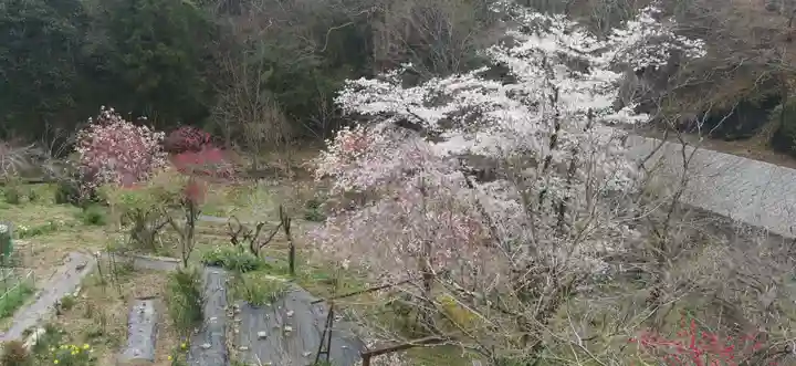 秩父札所1番 四萬部寺(埼玉県)