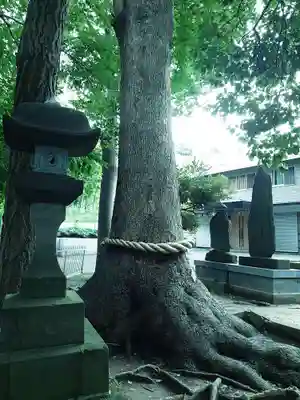 久地神社の自然