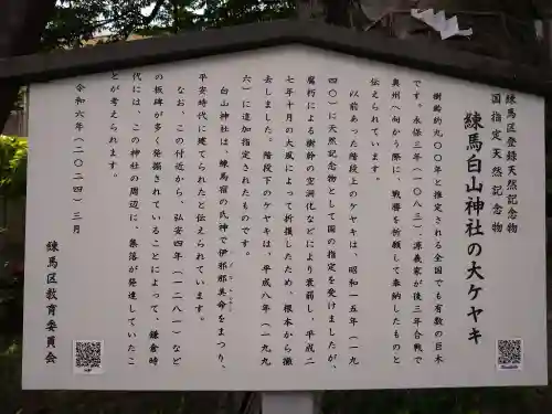 白山神社(東京都)