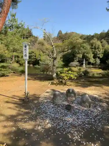鹿苑寺（金閣寺）の{uncategorized: "未分類", other: "その他", undefined: "問題あり", building: "その他建物", grave: "お墓", sacred_gate: "鳥居", guardian: "狛犬", statue: "像", buddha: "仏像", history: "歴史", nature: "自然", garden: "庭園", animal: "動物", pagoda: "塔", temizu: "手水舎", mountain_gate: "山門・神門", sanctuary: "本殿・本堂", subordinate: "末社・摂社", art: "芸術", scenery: "景色", jizo: "地蔵", ema: "絵馬", goshuin: "御朱印", omikuji: "おみくじ", items: "授与品その他", amulet: "お守り", goshuincho: "御朱印帳", eats: "食事", festival: "お祭り", votive_dance: "神楽", shichigosan: "七五三参", wedding: "結婚式", experience: "体験その他", initially: "初詣", around: "周辺", anti_infection: "感染症対策"}