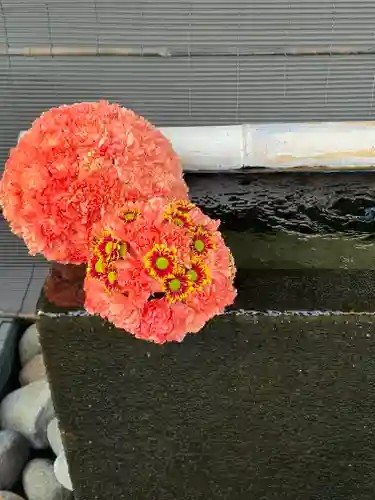 上尾御嶽神社(埼玉県)