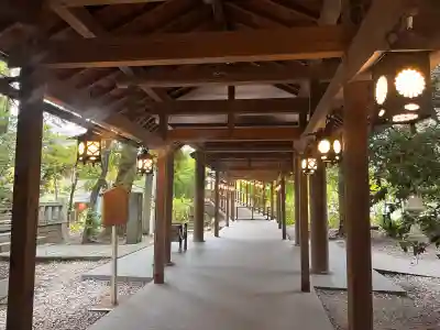 川越氷川神社(埼玉県)