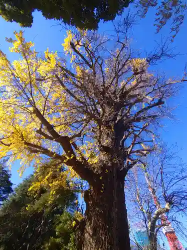 芝東照宮の自然