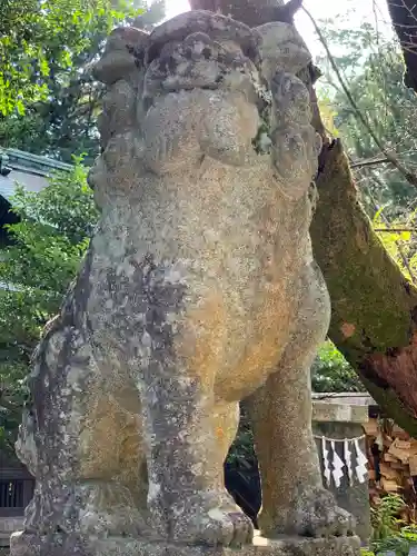 報徳二宮神社の狛犬