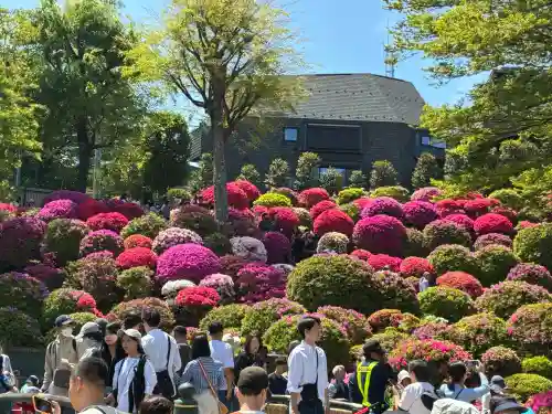 根津神社の{uncategorized: "未分類", other: "その他", undefined: "問題あり", building: "その他建物", grave: "お墓", sacred_gate: "鳥居", guardian: "狛犬", statue: "像", buddha: "仏像", history: "歴史", nature: "自然", garden: "庭園", animal: "動物", pagoda: "塔", temizu: "手水舎", mountain_gate: "山門・神門", sanctuary: "本殿・本堂", subordinate: "末社・摂社", art: "芸術", scenery: "景色", jizo: "地蔵", ema: "絵馬", goshuin: "御朱印", omikuji: "おみくじ", items: "授与品その他", amulet: "お守り", goshuincho: "御朱印帳", eats: "食事", festival: "お祭り", votive_dance: "神楽", shichigosan: "七五三参", wedding: "結婚式", experience: "体験その他", initially: "初詣", around: "周辺", anti_infection: "感染症対策"}