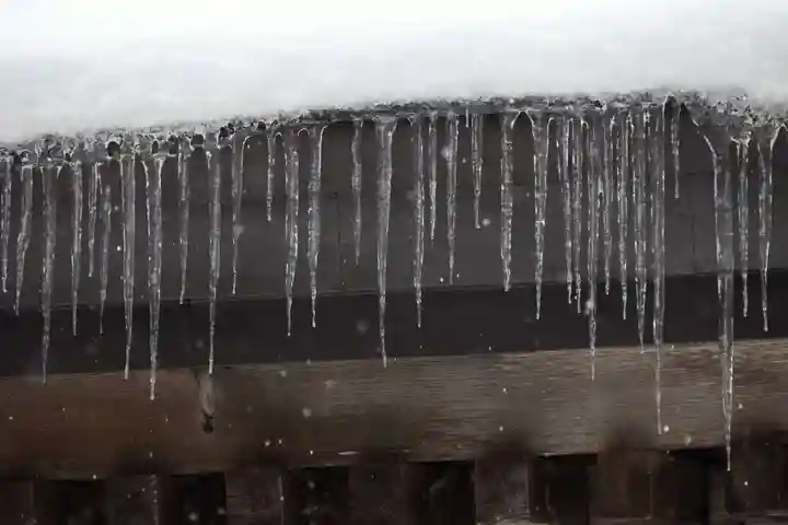 磐椅神社の自然