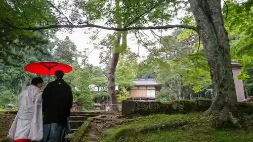 土津神社｜こどもと出世の神さまの結婚式