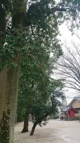 武雄神社の庭園