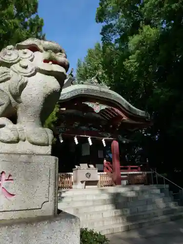 葛西神社の狛犬