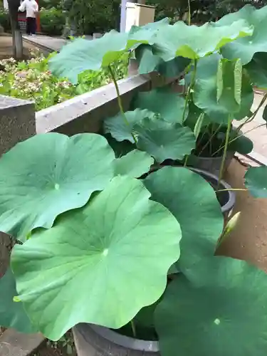 生田神社(兵庫県)