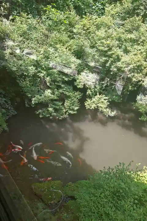 東光寺(岐阜県)