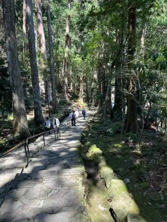 飛瀧神社(熊野那智大社別宮)(和歌山県)