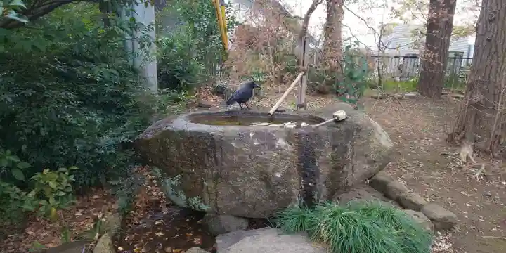 諏訪神社の手水舎