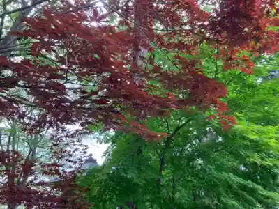 大安寺(岩手県)