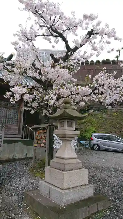 北方皇太神宮の自然