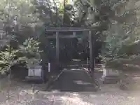 若狭彦神社(上社)の鳥居