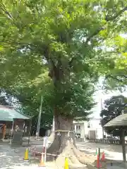 東八幡神社(埼玉県)