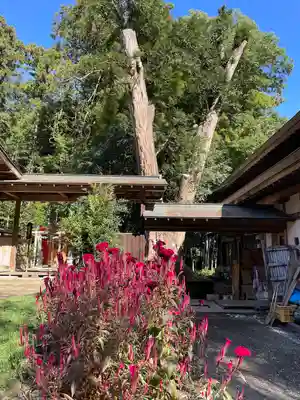 雄琴神社(栃木県)