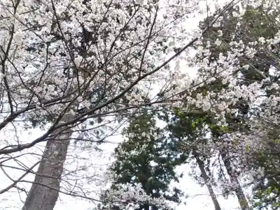 日朝寺(新潟県)