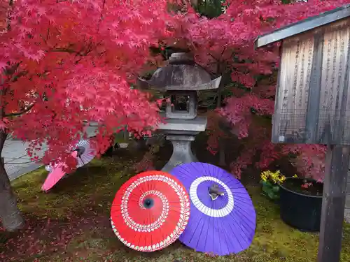 勝林寺(京都府)