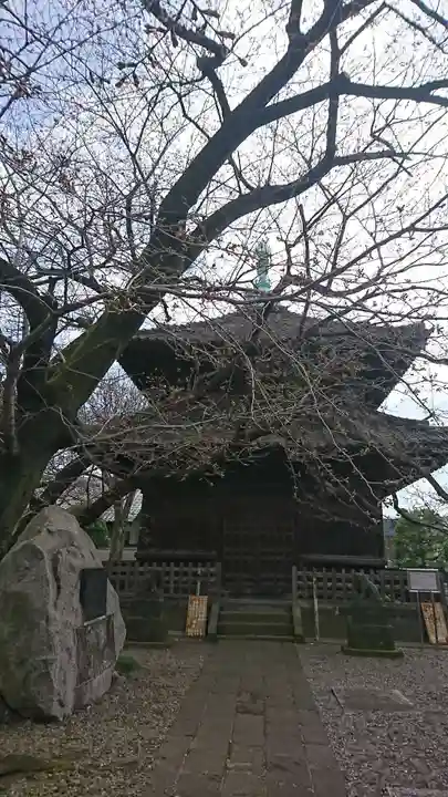 吉祥寺のその他建物