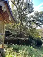 正法寺(滋賀県)