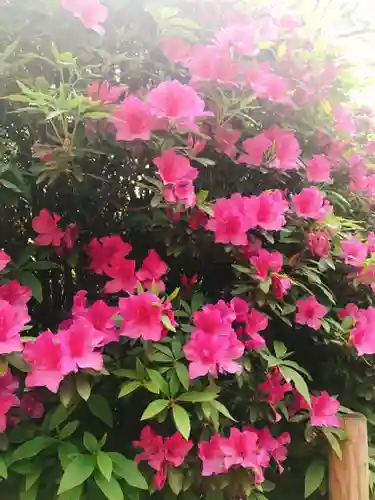 根津神社の自然