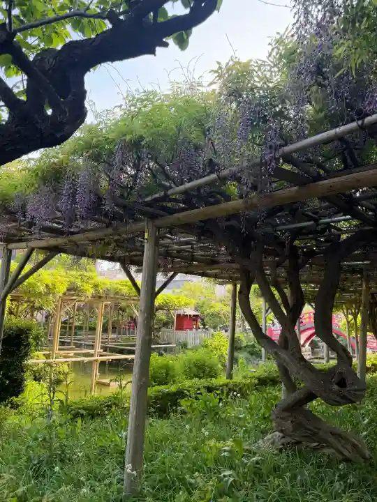 亀戸天神社の{uncategorized: "未分類", other: "その他", undefined: "問題あり", building: "その他建物", grave: "お墓", sacred_gate: "鳥居", guardian: "狛犬", statue: "像", buddha: "仏像", history: "歴史", nature: "自然", garden: "庭園", animal: "動物", pagoda: "塔", temizu: "手水舎", mountain_gate: "山門・神門", sanctuary: "本殿・本堂", subordinate: "末社・摂社", art: "芸術", scenery: "景色", jizo: "地蔵", ema: "絵馬", goshuin: "御朱印", omikuji: "おみくじ", items: "授与品その他", amulet: "お守り", goshuincho: "御朱印帳", eats: "食事", festival: "お祭り", votive_dance: "神楽", shichigosan: "七五三参", wedding: "結婚式", experience: "体験その他", initially: "初詣", around: "周辺", anti_infection: "感染症対策"}