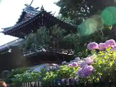 白山神社の本殿