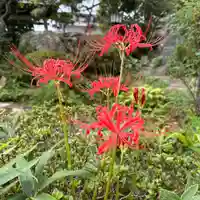 豊景神社(福島県)