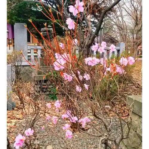 彌彦神社　(伊夜日子神社)の自然