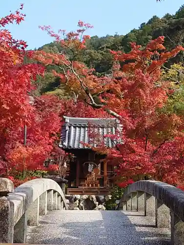 禅林寺（永観堂）の景色