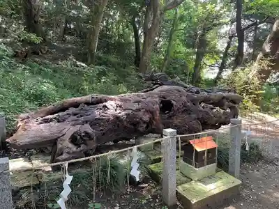 泉神社(茨城県)
