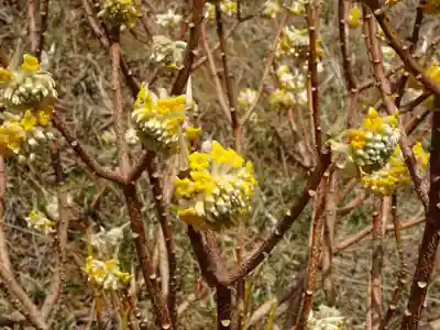 宝城坊(神奈川県)