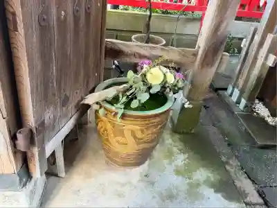 浅野川神社(石川県)