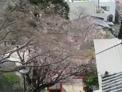 金剛宝寺（紀三井寺）(和歌山県)