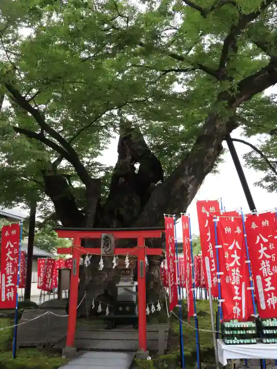 秩父今宮神社(埼玉県)