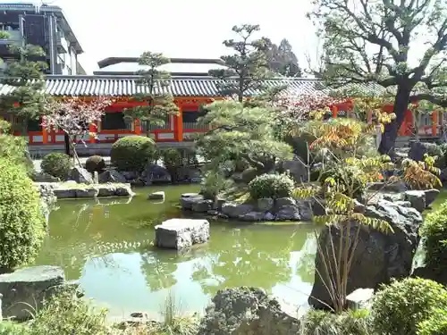 蓮華王院（三十三間堂）の庭園