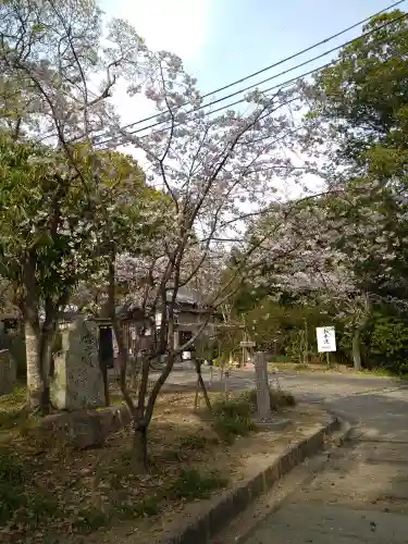 阿智神社の自然