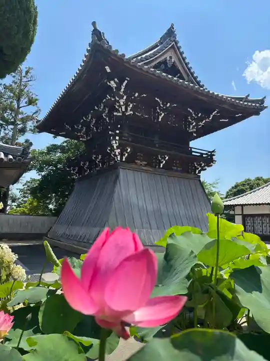 中山寺(兵庫県)