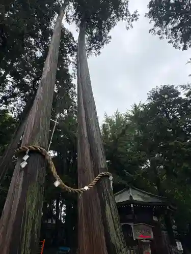 豊川閣　妙厳寺(愛知県)