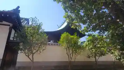 湯神社(愛媛県)