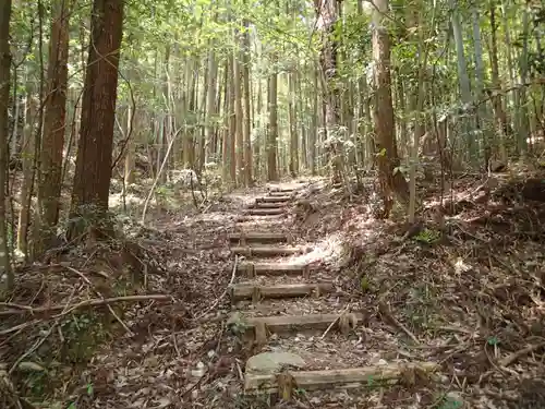上一宮大粟神社の自然