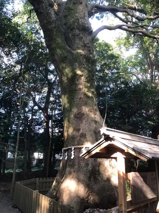 磯神社(三重県)