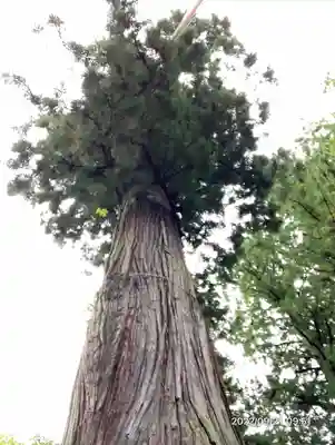 河口浅間神社(山梨県)