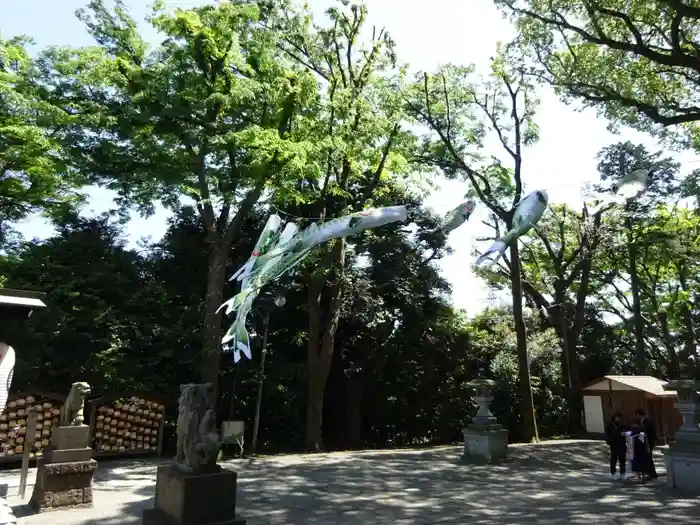 星川杉山神社の建物その他