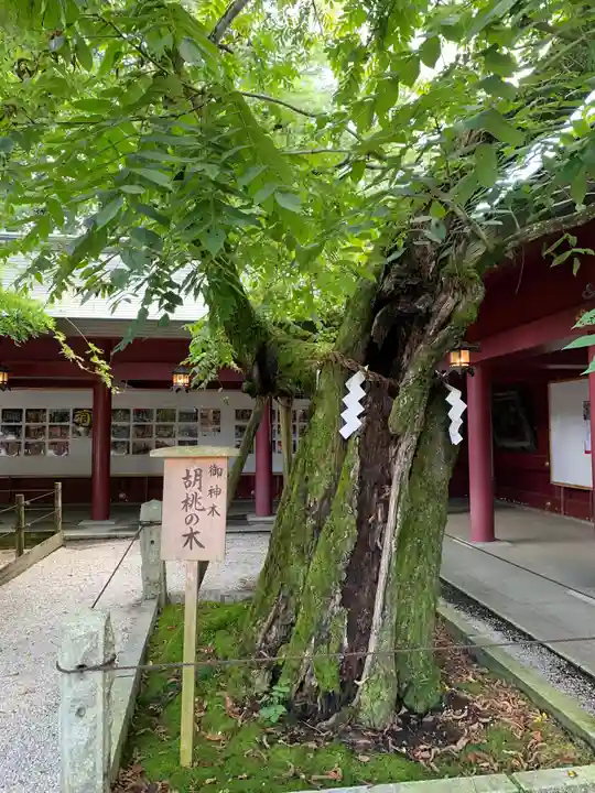 笠間稲荷神社(茨城県)